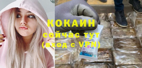 сатива Баксан